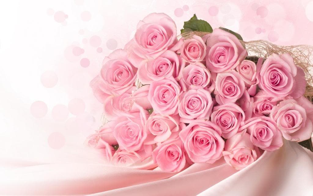 a96fe63ea1057ad000caa238912bff50.jpg