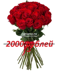 Букет из 25 красных роз