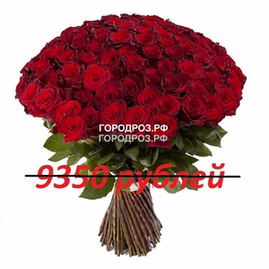 Букет из 85 красных роз