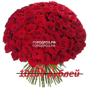Букет из 101 красной розы