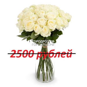 Букет из 25 белых роз