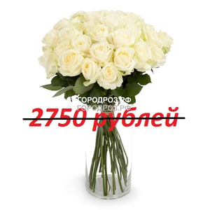 Букет из 25 белых роз