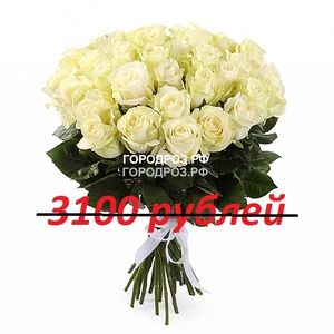 Букет из 31 белой розы