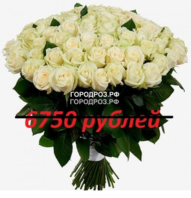 Букет из 75 белых роз