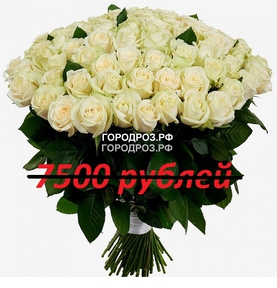 Букет из 75 белых роз