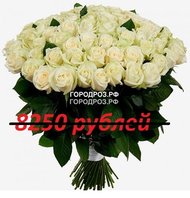 Букет из 75 белых роз