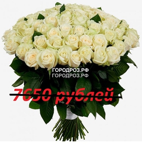 Букет из 85 белых роз