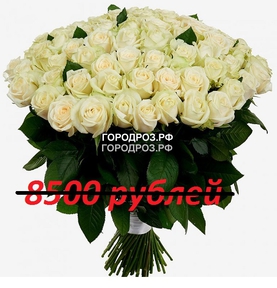 Букет из 85 белых роз