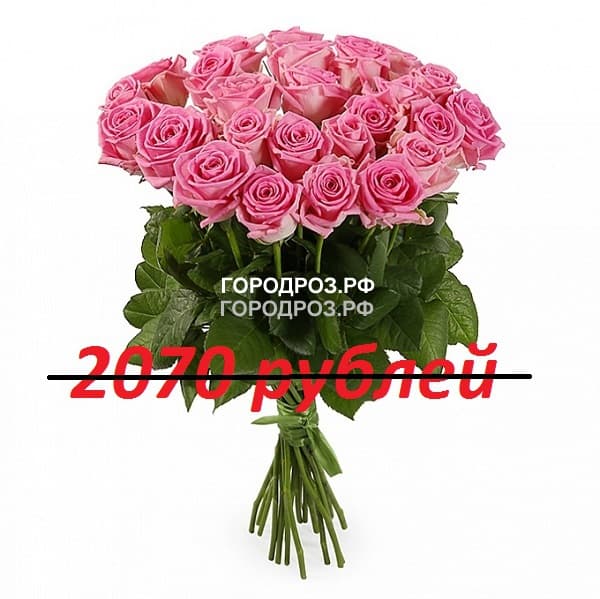 Букет из 23 розовых роз