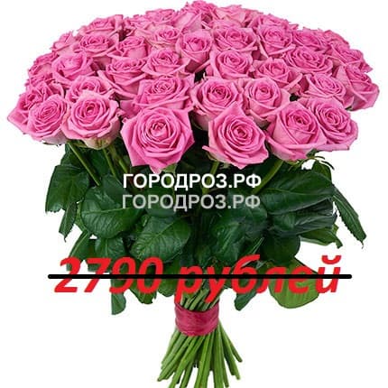 Букет из 31 розовой розы