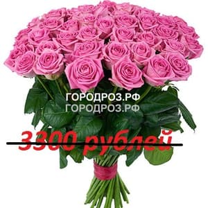 Букет из 33 розовых роз