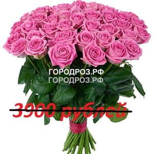 Букет из 39 розовых роз