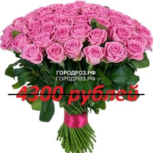 Букет из 43 розовых роз