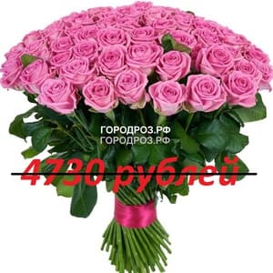 Букет из 43 розовых роз
