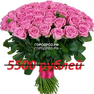 Букет из 55 розовых роз