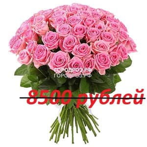 Букет из 85 розовых роз