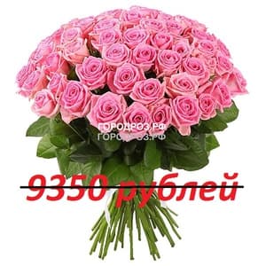 Букет из 85 розовых роз
