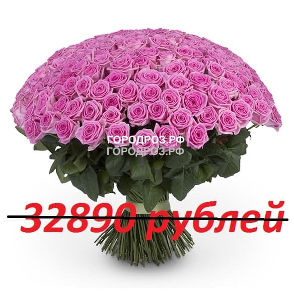 Букет из 301 розовой розы