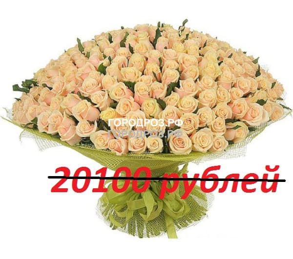 Букет из 201 нежно-розовой розы