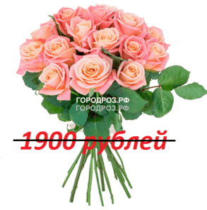 Букет из 19 персиковых роз