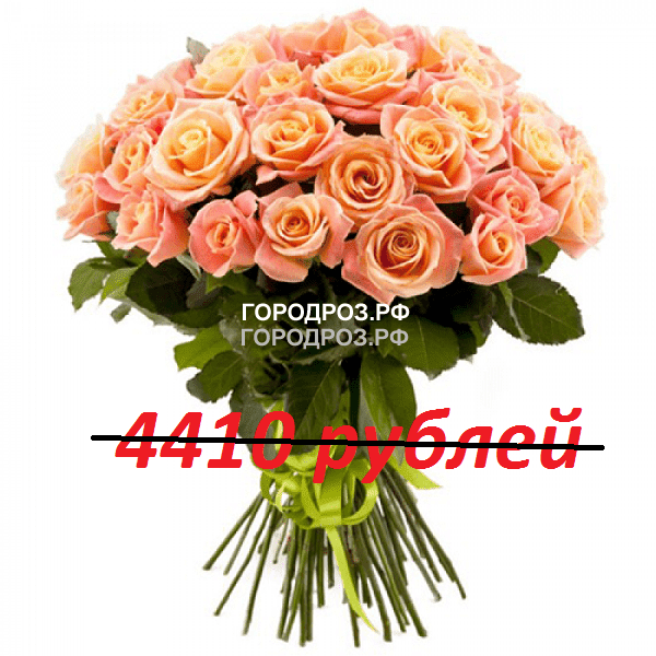 Букет из 49 персиковых роз