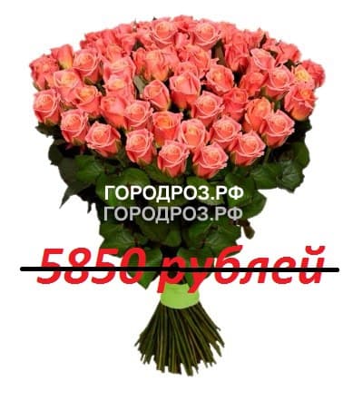 Букет из 65 персиковых роз
