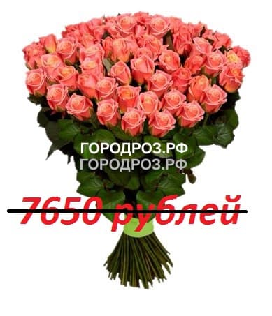 Букет из 85 персиковых роз