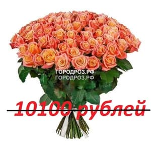 Букет из 101 персиковой розы