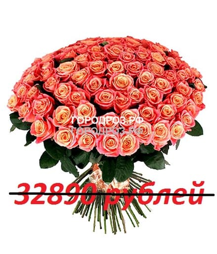 Букет из 301 персиковой розы