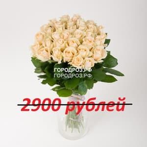 Букет из 29 кремовых роз