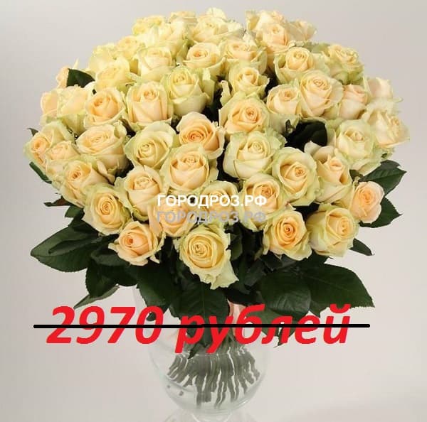 Букет из 33 кремовых роз