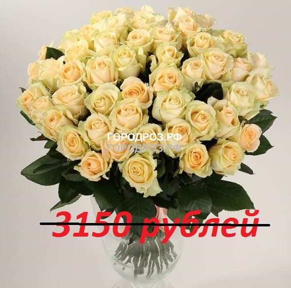 Букет из 35 кремовых роз