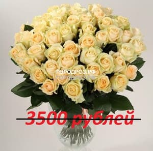 Букет из 35 кремовых роз