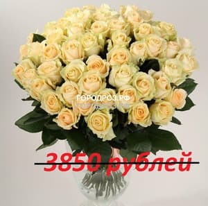 Букет из 35 кремовых роз
