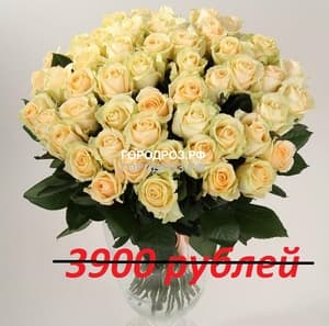 Букет из 39 кремовых роз