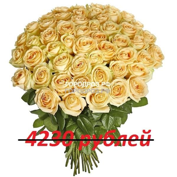 Букет из 47 кремовых роз