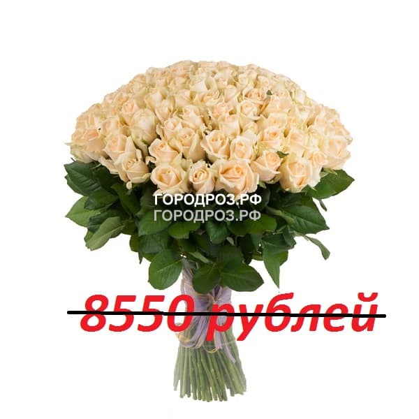 Букет из 95 кремовых роз