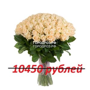 Букет из 95 кремовых роз