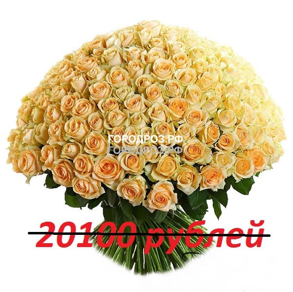 Букет из 201 кремовой розы