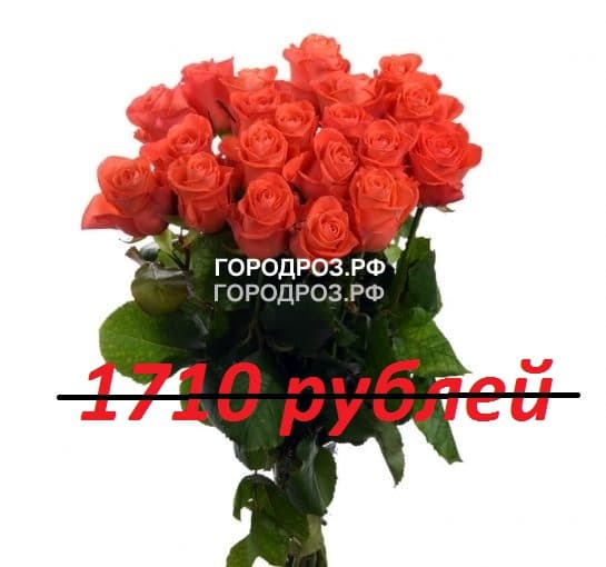 Букет из 19 коралловых роз