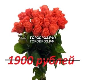 Букет из 19 коралловых роз