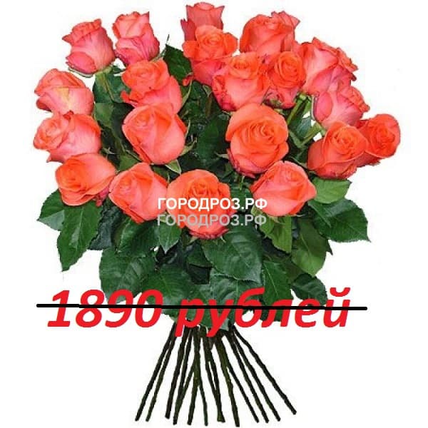 Букет из 21 коралловой розы