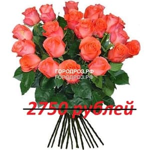 Букет из 25 коралловых роз