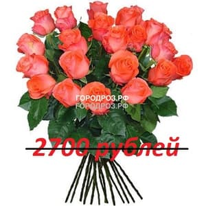 Букет из 27 коралловых роз