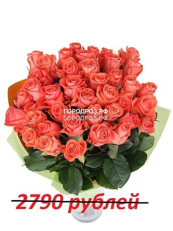 Букет из 31 коралловой розы