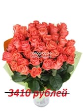 Букет из 31 коралловой розы
