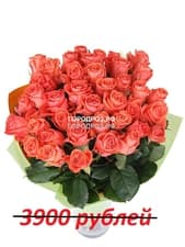 Букет из 39 коралловых роз