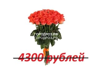 Букет из 43 коралловых роз