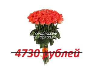 Букет из 43 коралловых роз