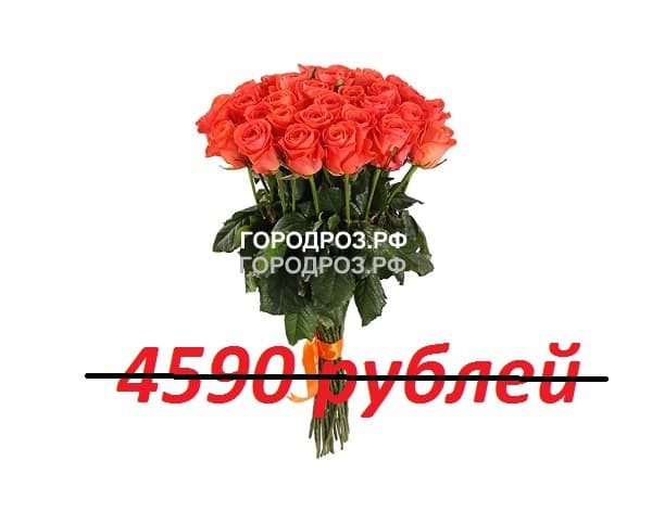 Букет из 51 коралловой розы